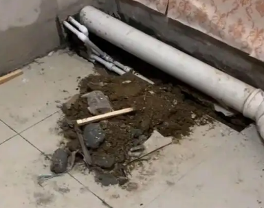 三穗卫生间漏水检测哪家好