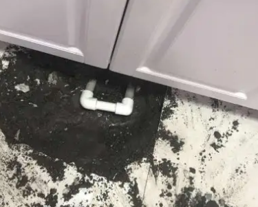 三穗查漏水哪家好